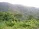 Thumbs/tn_Another Zip Line View.jpg